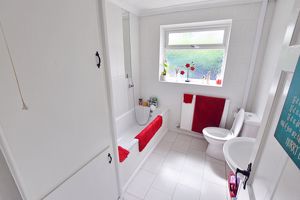 Photo 10- click for photo gallery